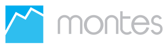 Montes A Mobile WMS Partner