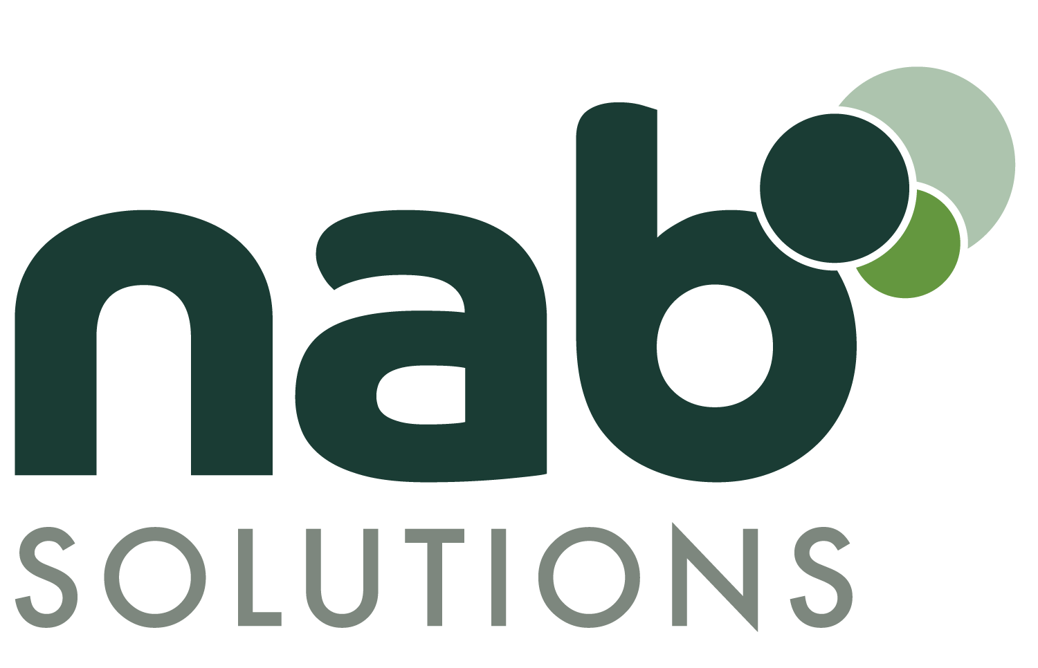 Nab Solutions AB A Mobile WMS Partner