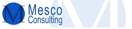 Mesco Consulting A Mobile WMS Partner