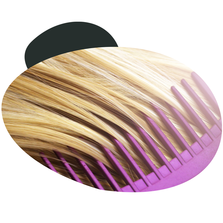 Kent Brushes Found the Best Mobile WMS Solution