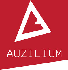 Auzilium A Mobile WMS Partner