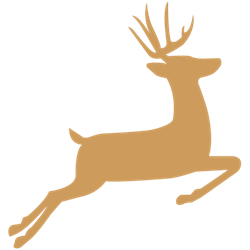 Festive Productions Ltd.