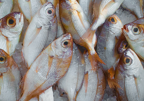 Tasklet | Adding Value to 1000+ Mobile WMS Customers