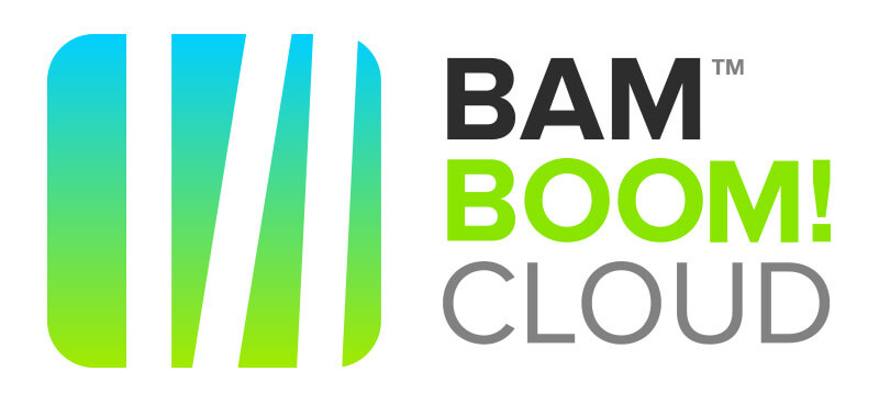 Bam Boom Cloud A Mobile WMS Partner